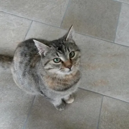 La Casa In Collina 3*