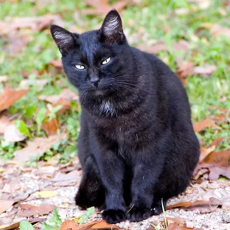 La Casa In Collina 3* Sarmede