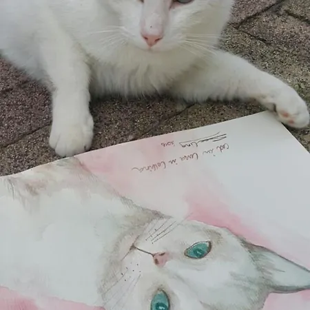 Alojamento de Acomodação e Pequeno-almoço La Casa In Collina Sarmede