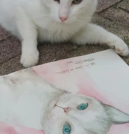 La Casa In Collina Alojamento de Acomodação e Pequeno-almoço 3*